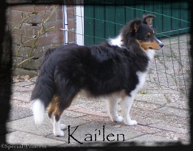 Kai'len en zijn volle vacht